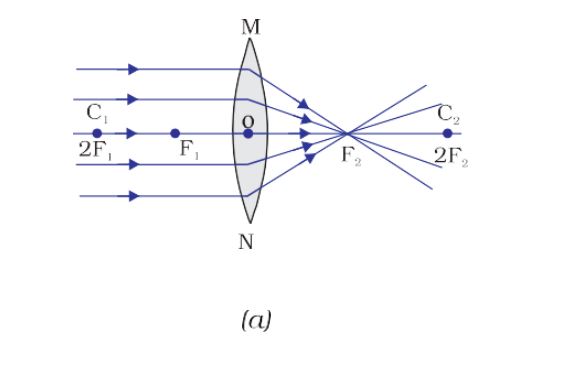 Difference Between Concave And Convex Lens? Know About Concave Lens Vs ...